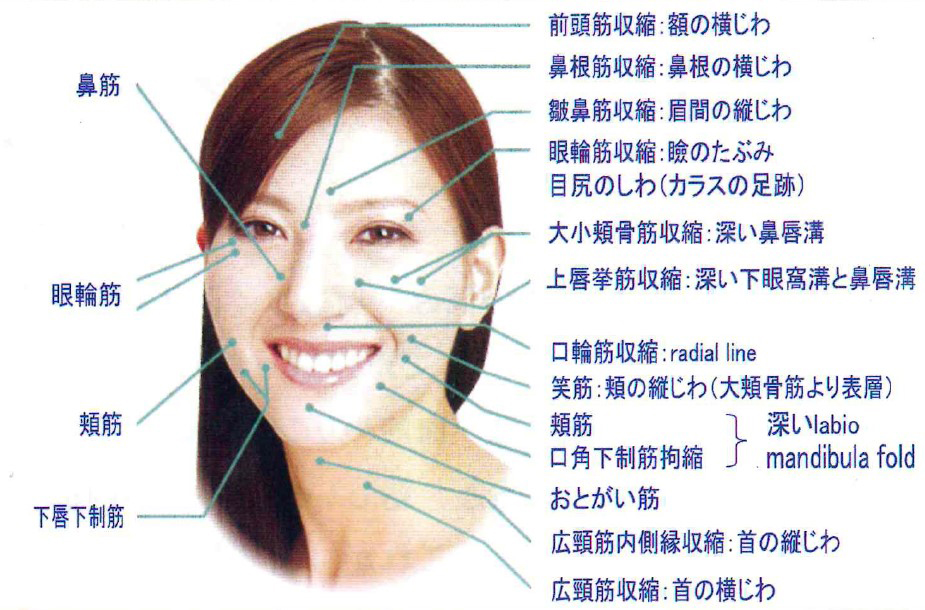 お顔の表情筋を引き締め、お肌のハリを保ち、しわやたるみなどあらゆるお悩みにアプローチが可能です。